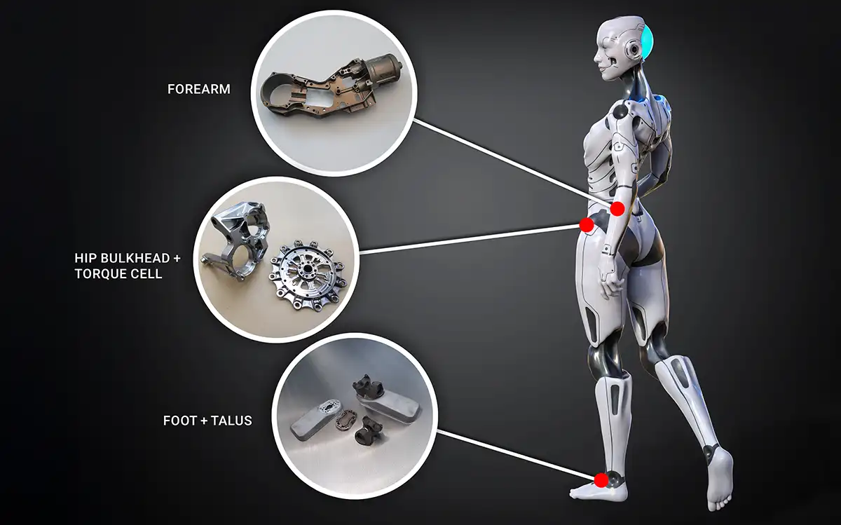 Humanoid robotic